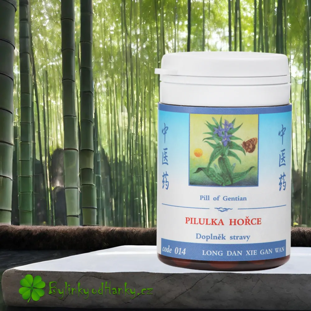 TCM HERBS PILULKA HOŘCE 100 tablet