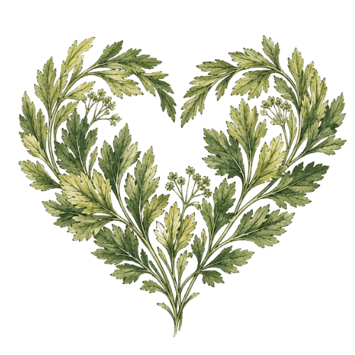 Sůl Srdce z libečku