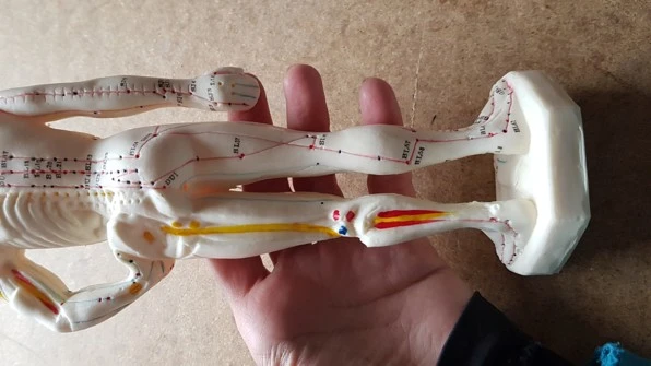 Akupunkturní Model - 26cm