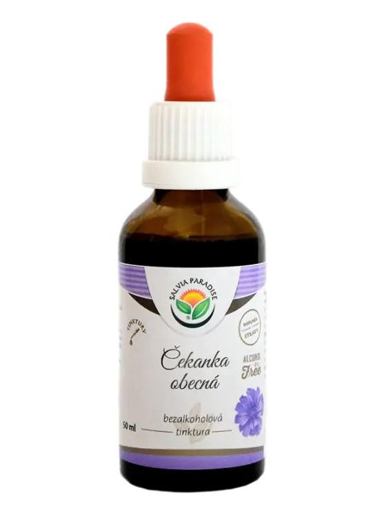 SALVIA PARADISE Tinktura - Čekanka Kořen 50ml