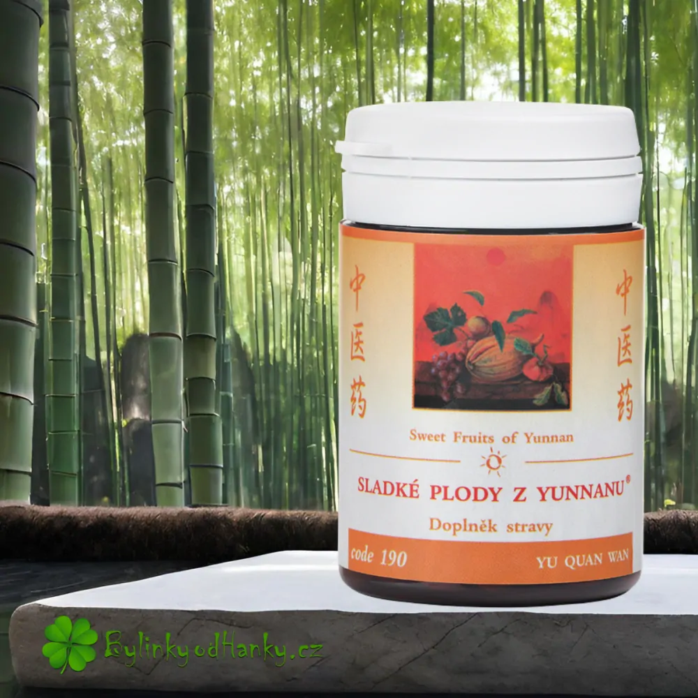 TCM HERBS SLADKÉ PLODY Z YUNNANU 100 tablet