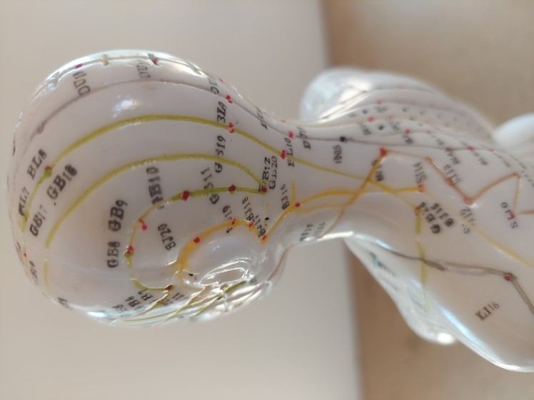 Akupunkturní Model Žena - 48cm