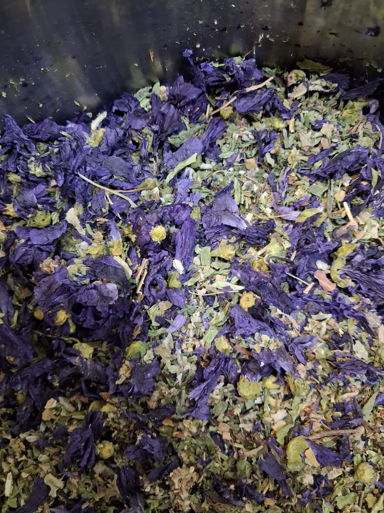 BYLINKYODHANKY - Nádech Lesa - Tinktura z Borového Jehličí - 200ml