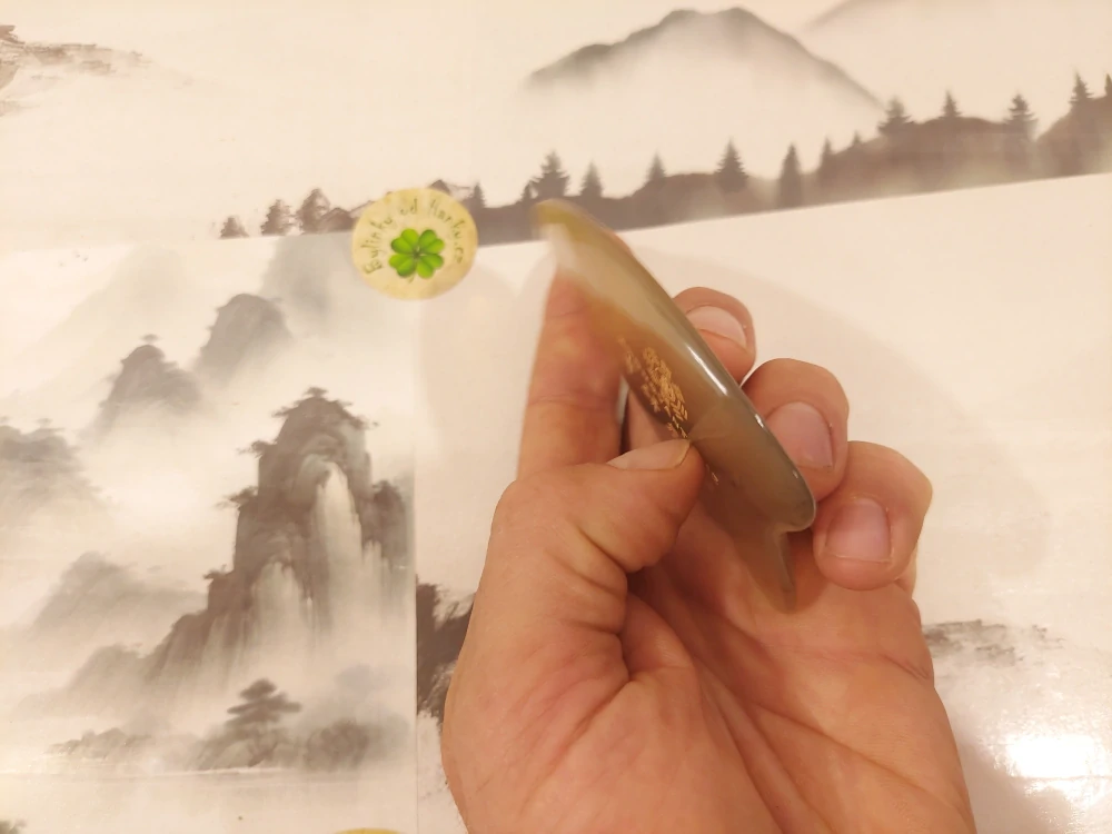 GUASHA - Kapka s Ozubením / Světlá Rohivina