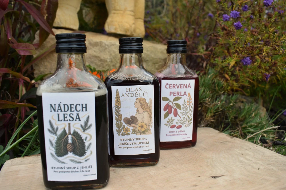 BYLINKYODHANKY - Nádech Lesa - Tinktura z Borového Jehličí - 200ml