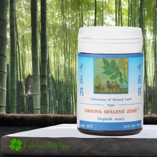 TCM HERBS OBNOVA SPÁLENÉ ZEMĚ 100 tablet