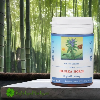 TCM HERBS PILULKA HOŘCE 100 tablet