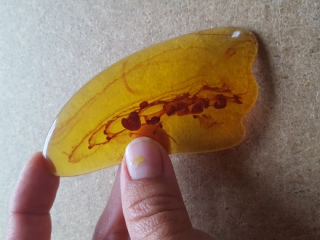 GUASHA - Kouřová masážní destička 