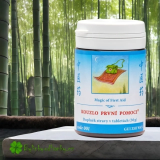 TCM HERBS KOUZLO PRVNÍ POMOCI 100 tablet