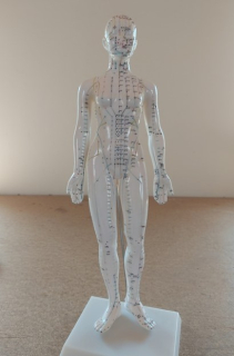 Akupunkturní Model Žena - 48cm