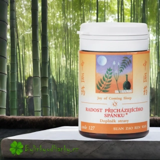 TCM HERBS RADOST PŘICHÁZEJÍCHO SPÁNKU 100 tablet
