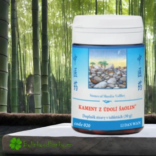 TCM HERBS KAMENY Z ÚDOLÍ ŠAOLIN 100 tablet