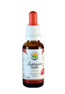 SALVIA PARADISE Tinktura - REISHI Lesklokorka 30ml