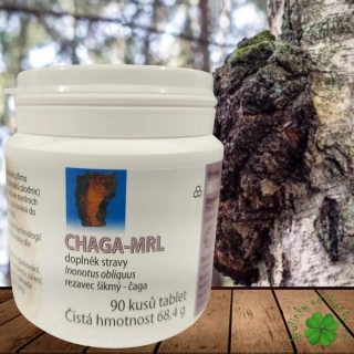 MRL CHAGA Rezavec Šikmý 90 tablet