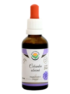 SALVIA PARADISE Tinktura - Čekanka Kořen 50ml