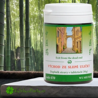 TCM HERBS VÝCHOD ZE SLEPÉ ULIČKY 100 tablet