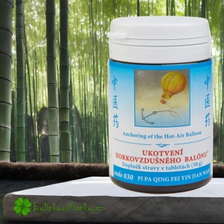 TCM HERBS UKOTVENÍ HORKOVZDUŠNÉHO BALÓNU 100 tablet