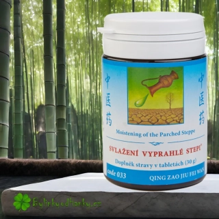 TCM HERBS SVLAŽENÍ VYPRAHLÉ STEPI 100 tablet