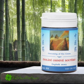 TCM HERBS ZDOLÁNÍ OHNIVÉ SOUTĚSKY 100 tablet