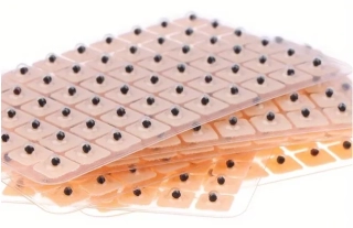 Akupunkturní Semínko Vakárie 60ks