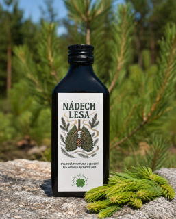 BYLINKYODHANKY - Nádech Lesa - Tinktura z Borového Jehličí - 200ml