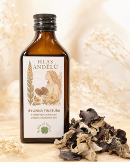 BYLINKYODHANKY - Hlas Andělů - Bylinná Tinktura s Jidášovým Uchem - 200ml