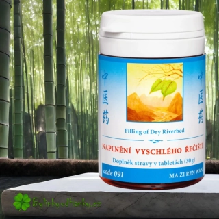 TCM HERBS NAPLNĚNÍ VYSCHLÉHO ŘEČIŠTĚ 100 tablet