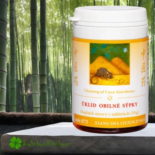 TCM HERBS ÚKLID OBILNÉ SÝPKY 100 tablet