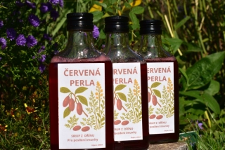 BYLINKYODHANKY - Červená Perla - Sirup z Dřínu Obecného Pro posílení imunity - 200ml