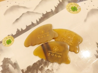 GUASHA - Kapka s Ozubením / Světlá Rohivina