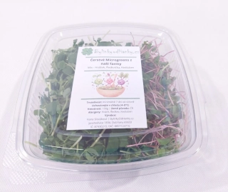MICROGREENS - Mix 100g