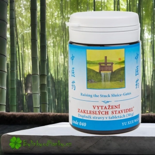TCM HERBS VYTAŽENÍ ZAKLESLÝCH STAVIDEL 100 tablet