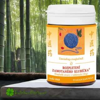 TCM HERBS ROZPLETENÍ ZAMOTANÉHO KLUBÍČKA 100 tablet