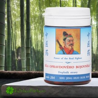 TCM HERBS SÍLA OPRAVDOVÉHO BOJOVNÍKA 100 tablet