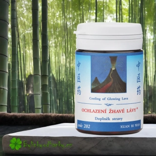 TCM HERBS OCHLAZENÍ ŽHAVÉ LÁVY 100 tablet