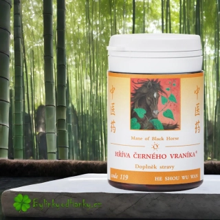 TCM HERBS HŘÍVA ČERNÉHO VRANÍKA 100 tablet