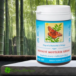 TCM HERBS MÁVNUTÍ MOTÝLÍCH KŘÍDEL 100 tablet