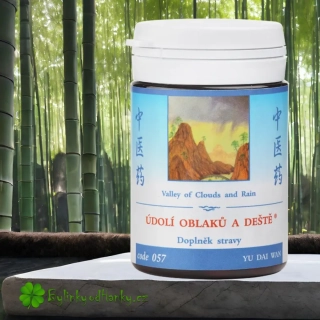 TCM HERBS ÚDOLÍ OBLAKŮ A DEŠTĚ 100 tablet 
