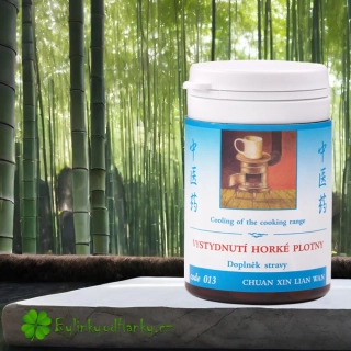 TCM HERBS VYSTYDNUTÍ HORKÉ PLOTNY 100 tablet