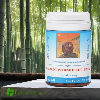 TCM HERBS ZPEVNĚNÍ PODEMLETÉHO BŘEHU 100 tablet