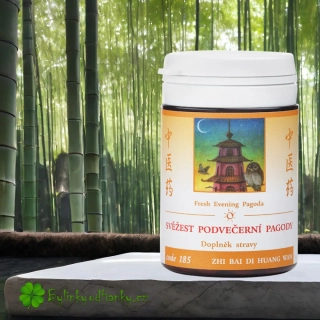 TCM HERBS SVĚŽEST PODVEČERNÍ PAGODY 100 tablet