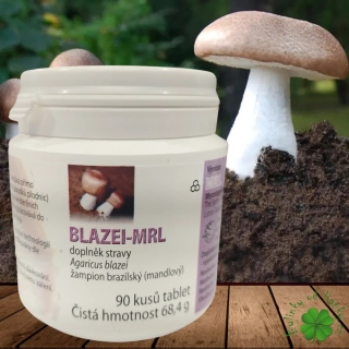 MRL BLAZEI Žampion Brazilský 90 tablet
