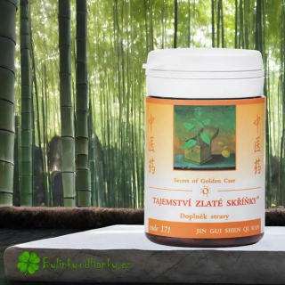 TCM HERBS TAJEMSTVÍ ZLATÉ SKŘÍŇKY 100 tablet