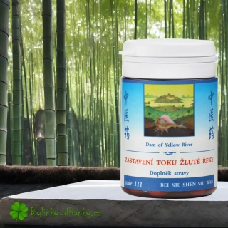 TCM HERBS ZASTAVENÍ TOKU ŽLUTÉ ŘEKY 100 tablet