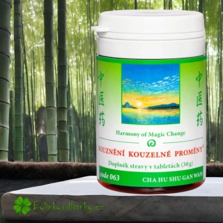 TCM HERBS SOUZNĚNÍ KOUZELNÉ PROMĚNY 100 tablet