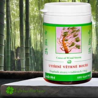 TCM HERBS UTIŠENÍ VĚTRNÉ BOUŘE 100 tablet