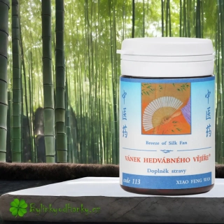 TCM HERBS VÁNEK HEDVÁBNÉHO VĚJÍŘE 100 tablet