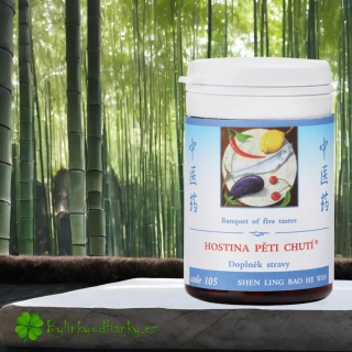 TCM HERBS HOSTINA PĚTI CHUTÍ 100 tablet