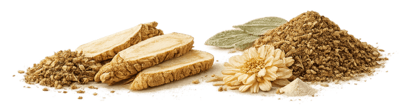 Síla jednotlivých bylin